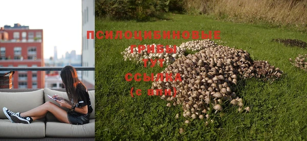спиды Абдулино
