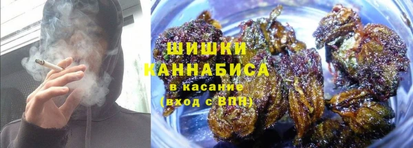тгк Чекалин
