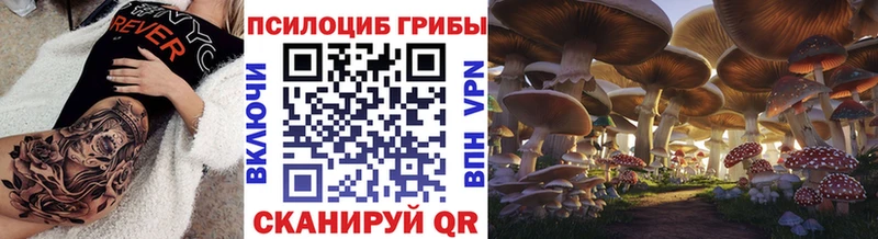 kraken tor Одинцово Псилоцибиновые грибы мухоморы
