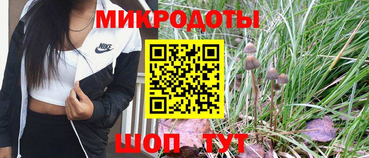 Псилоцибиновые грибы Cubensis  Вход с VPN  где найти   Одинцово 